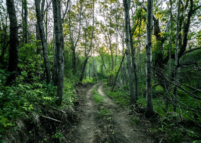 Resorts Nature Park