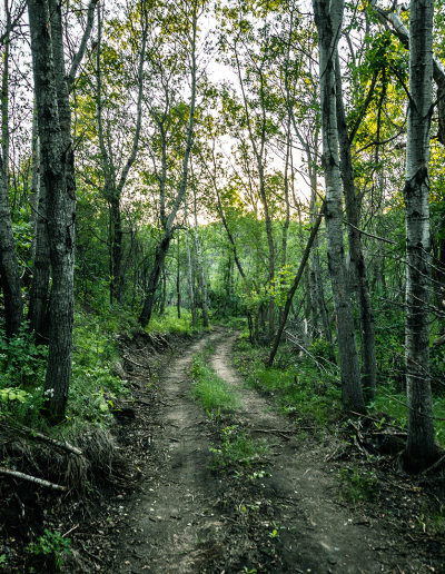 Resorts Nature Park